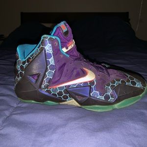 Lebron hornets size 6.5